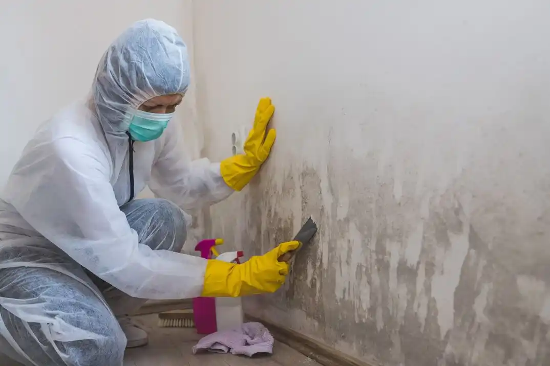 water damage restoration service Crosstimber